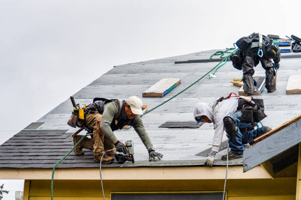 Professional Gutter Installation technician working in Allegany, NY